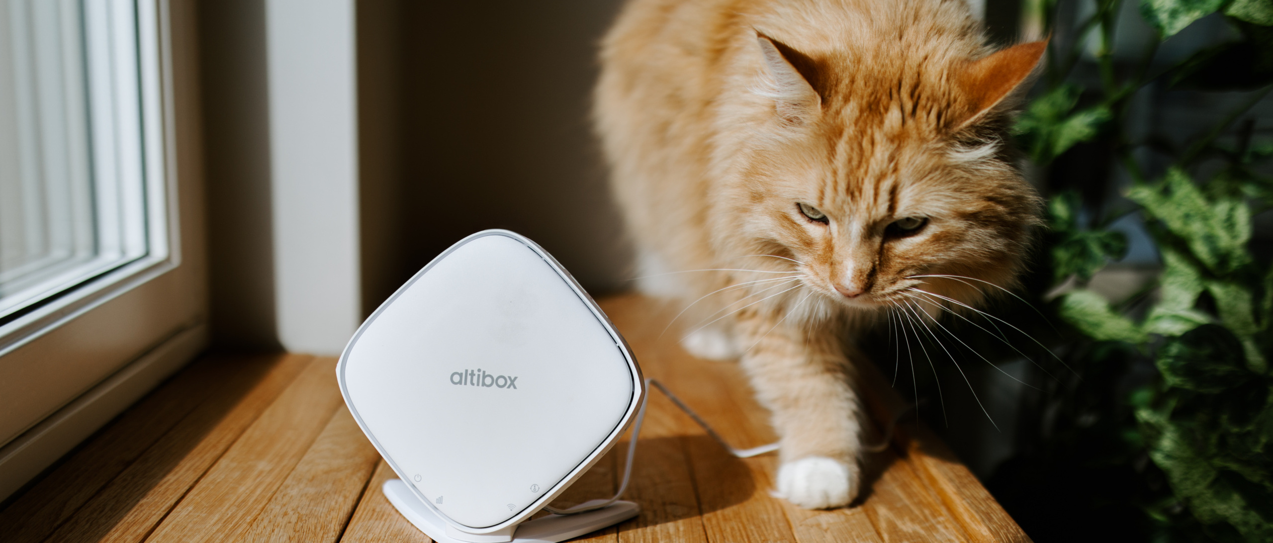 Line Owren Fotografi AS